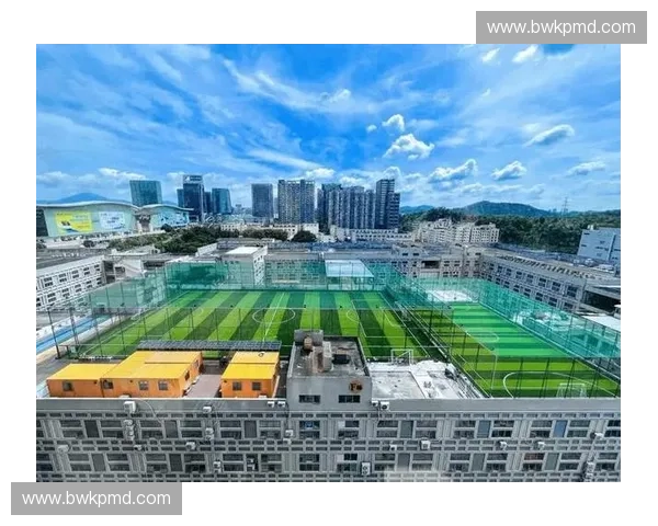 球场灯光的设计与应用：提升运动体验与视觉效果的创新探索