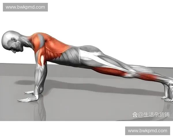 科学力量训练方法：提升肌肉力量与耐力的全面指南