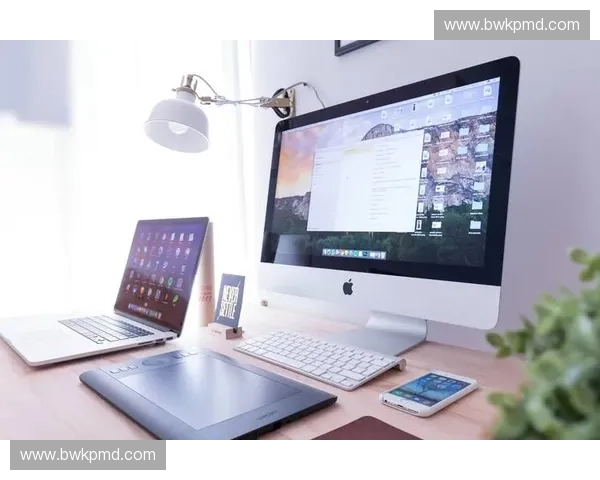 基于体育数据接口构建智能分析平台提升赛事预测准确性和用户体验