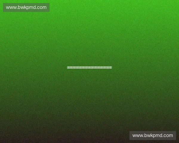 城市马拉松激情开跑点燃全民健身与城市活力新热潮迈向高质量发展 城市马拉松激情开跑点燃全民健身与城市活力新热潮迈向高质量发展